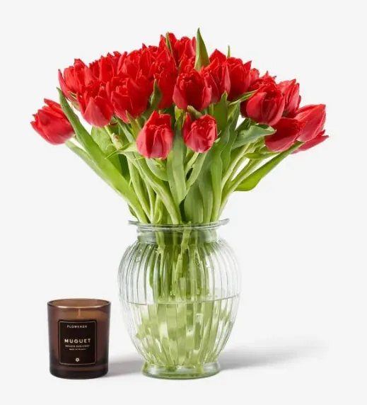 Scarlet Double Tulip